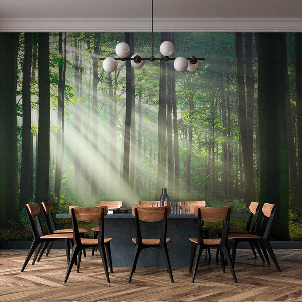 Sonnenstrahlen strömen durch den Wald Fototapeten Sonnenstrahlen strömen durch den Wald