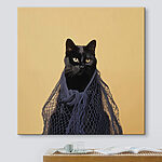 Wandbilder Katze mit Netz