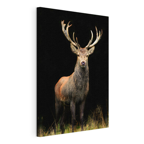 Majestätischer Hirsch im Wald Wandbilder Majestätischer Hirsch im Wald