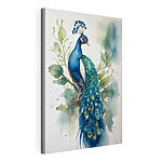 Wandbilder Aquarell eines Pfaus