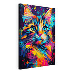 Wandbilder Bunte Katze mit blauen Augen
