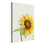 Wandbilder Aquarell einer Sonnenblume
