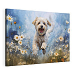 Wandbilder Hund springt in die Luft