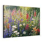 Wandbilder Ein Feld voller bunter Blumen