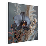 Wandbilder Schwarze Blume mit weißen Blüten