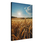 Wandbilder Weizenfeld mit Sonnenschein im Hintergrund
