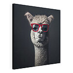 Wandbilder Lama mit roter Sonnenbrille