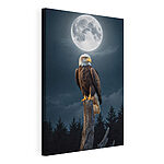 Wandbilder Weißkopfseeadler auf einem Pfahl mit Vollmond im Hintergrund