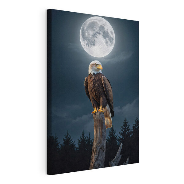 Weißkopfseeadler auf einem Pfahl mit Vollmond im Hintergrund Wandbilder Weißkopfseeadler auf einem Pfahl mit Vollmond im Hintergrund