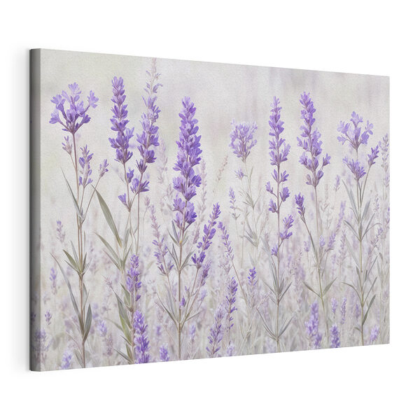 Gruppe violetter Blumen Wandbilder Gruppe violetter Blumen