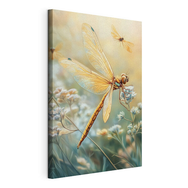Wandbilder Libelle auf einer Blume