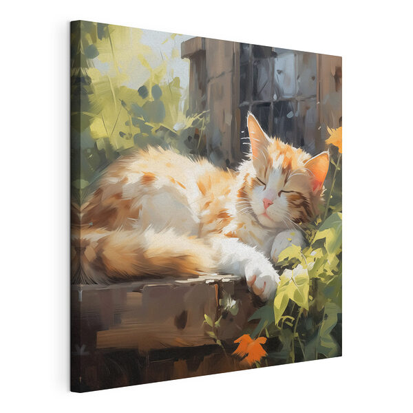 Katze auf einem Sims liegend Wandbilder Katze auf einem Sims liegend