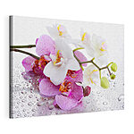 Wandbilder Zarte Orchideen, verziert mit kleinen Wassertropfen