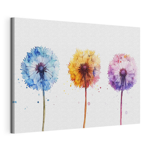 Wandbilder Aquarell einer Pusteblume