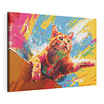 Wandbilder Bunte Katze springt durch Spritzer