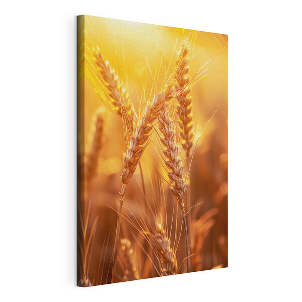 Wandbilder Sonnenbeschienener Weizen wiegt sich in der Brise (Artikelnummer: s39226) Wandbilder Wandbilder Sonnenbeschienener Weizen wiegt sich in der Brise (Artikelnummer: s39226)