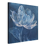 Wandbilder Blume mit Federn darauf