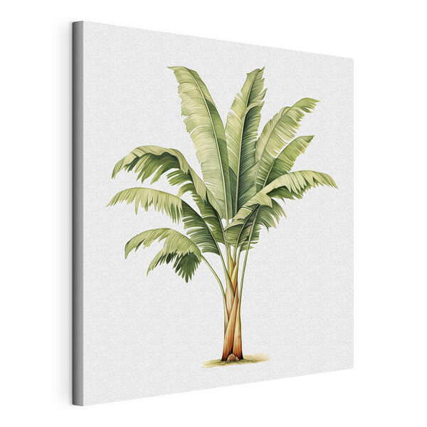 Wandbilder Palme mit großen Blättern