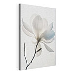 Wandbilder Weiße Blume mit Blättern