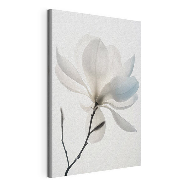Wandbilder Weiße Blume mit Blättern (Artikelnummer: s39578) Wandbilder Wandbilder Weiße Blume mit Blättern (Artikelnummer: s39578)