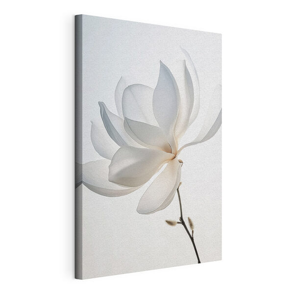 Wandbilder Wandbilder Weiße Blume mit Blütenblättern (Artikelnummer: s39581)