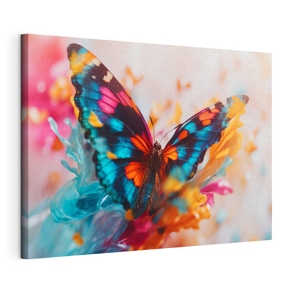 Wandbilder Schmetterling auf einer Blume