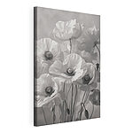 Wandbilder Gruppe von weißen Blumen