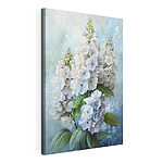 Wandbilder Elegante Hortensien in weichem Licht