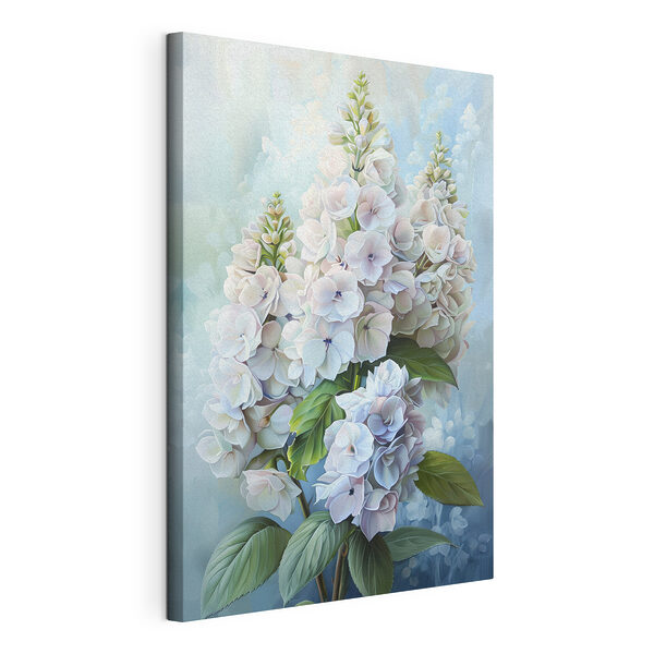 Wandbilder Wandbilder Elegante Hortensien in weichem Licht (Artikelnummer: s39783)