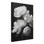 Wandbilder Gruppe von weißen Blumen