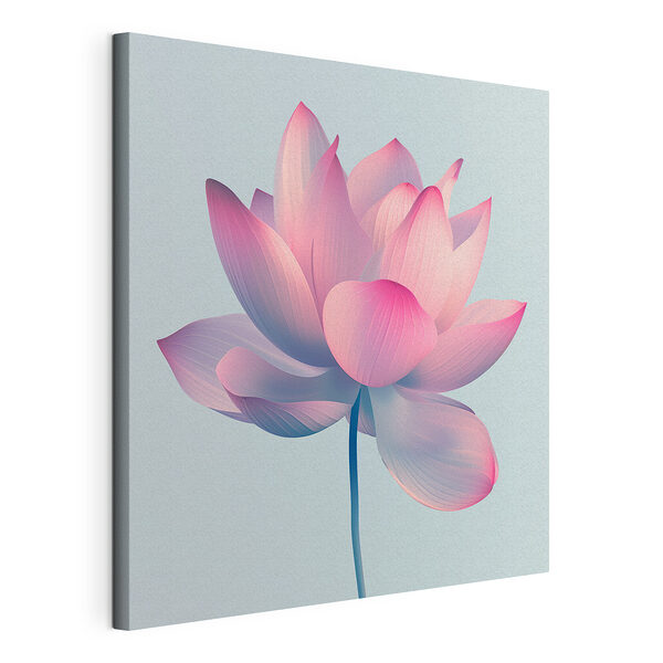 Wandbilder Rosa und weiße Blume