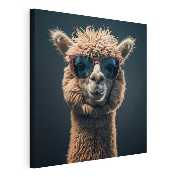 Lama mit Sonnenbrille Wandbilder Lama mit Sonnenbrille