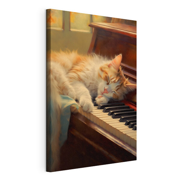 Wandbilder Katze schlafend auf einem Klavier
