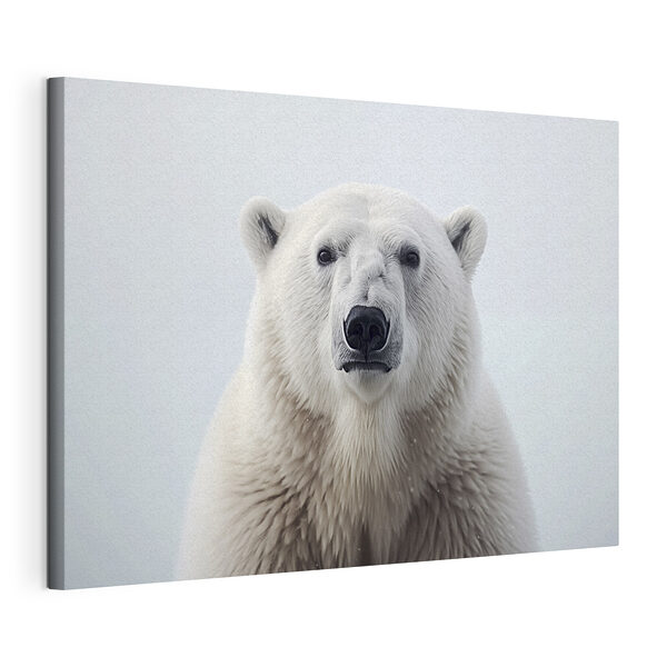 Wandbilder Eisbär schaut in die Kamera