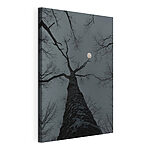 Wandbilder Baum mit dem Mond im Hintergrund