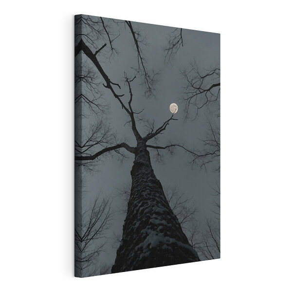 Wandbilder Baum mit dem Mond im Hintergrund (Artikelnummer: s41320) Wandbilder Wandbilder Baum mit dem Mond im Hintergrund (Artikelnummer: s41320)