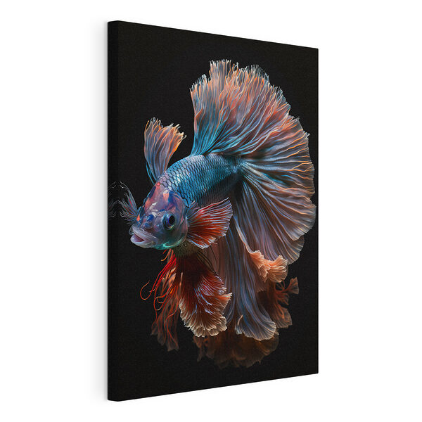 Wandbilder Wandbilder Fisch mit großem Schwanz (Artikelnummer: s41416)