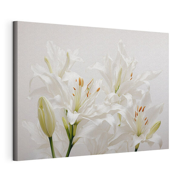 Wandbilder Gruppe von weißen Blumen