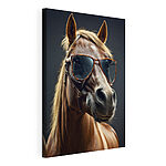 Wandbilder Pferd mit Sonnenbrille