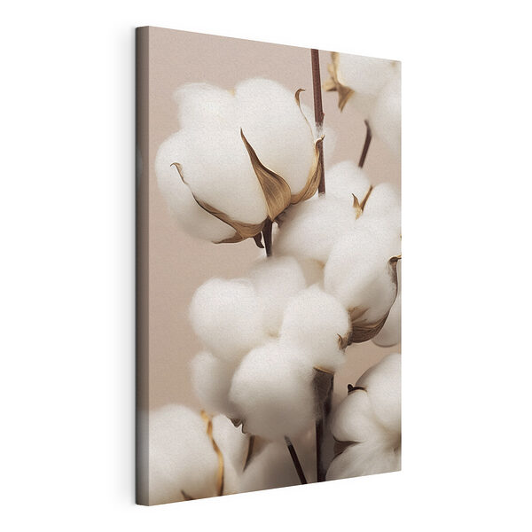 Wandbilder Wandbilder Zarte Baumwollblüten im natürlichen Licht (Artikelnummer: s41706)