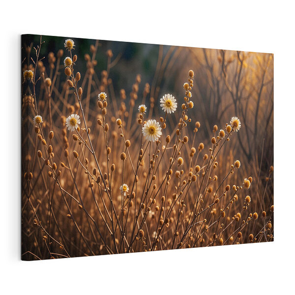 Wandbilder Wandbilder Gruppe von weißen Blüten auf braunen Stielen (Artikelnummer: s41735)