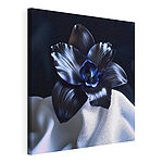 Wandbilder Schwarze Blume auf einem weißen Tuch
