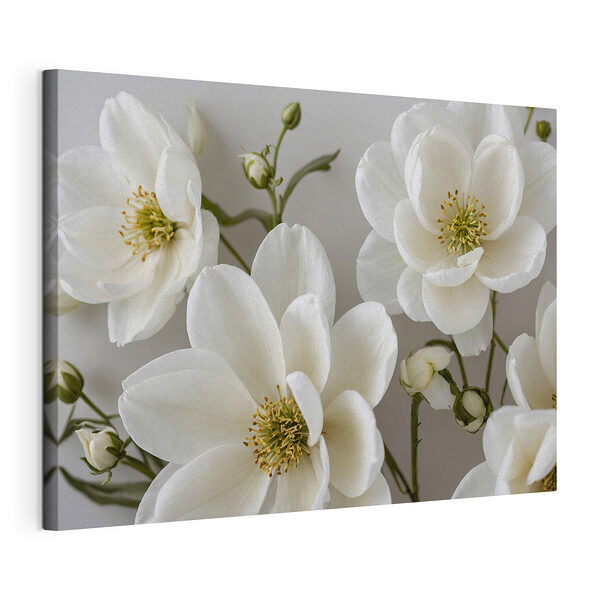 Wandbilder Gruppe von weißen Blumen