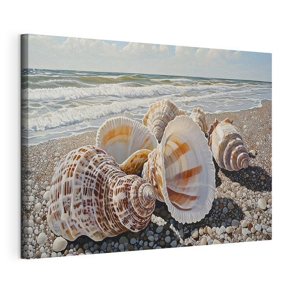Wandbilder Muscheln am Strand