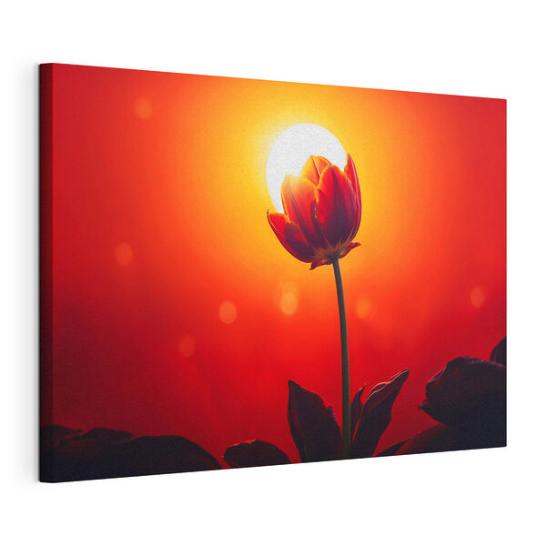 Wandbilder Wandbilder Rote Blume mit der Sonne im Hintergrund (Artikelnummer: s42922)