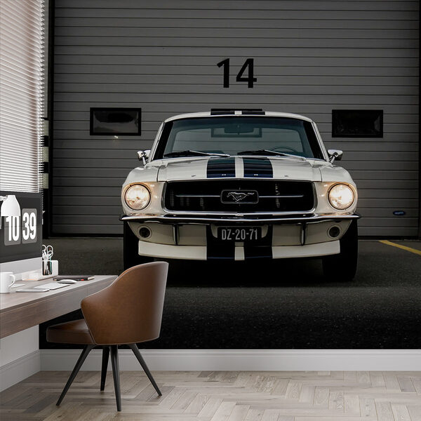 Fototapeten Vor einer Garage geparktes Auto