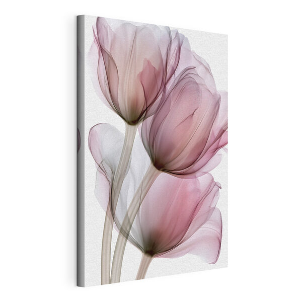 Wandbilder Wandbilder Zarte Blüten in sanften Farbtönen (Artikelnummer: s49564)