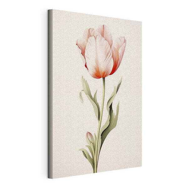 Zarte Tulpe in sanften Farbtönen Wandbilder Zarte Tulpe in sanften Farbtönen
