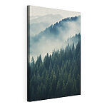 Wandbilder Wald mit Bäumen im Nebel