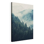 Wandbilder Wald im Nebel